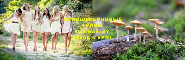 амф Богданович