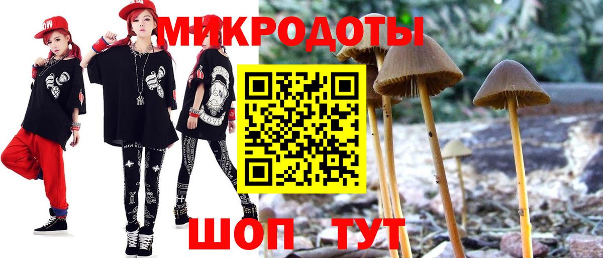 Галлюциногенные грибы GOLDEN TEACHER  Псилоцибиновые грибы MAGIC MUSHROOMS  Рыбинск  Вход с VPN 