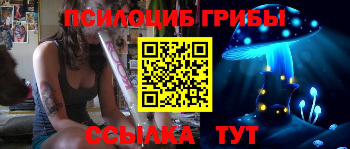 Галлюциногенные грибы Cubensis Рыбинск
