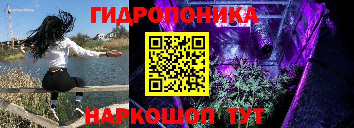 Бошки Шишки THC 21% Рыбинск